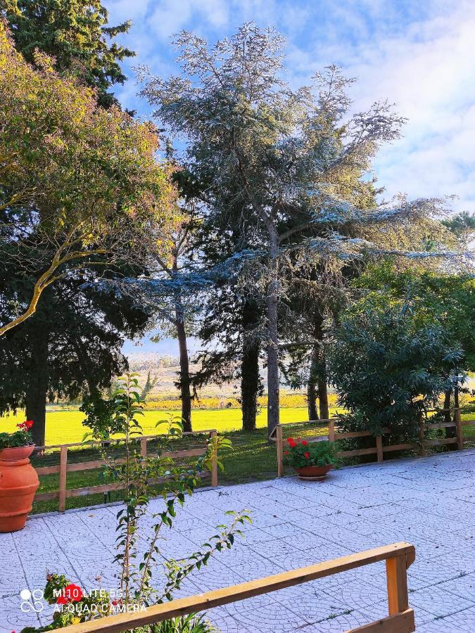 Villa Agriturismo Pian Dell'Osa Montiano  Exterior foto